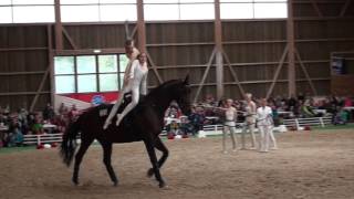 SM Turbenthal 2016  Team Lütisburg [upl. by Aremat]