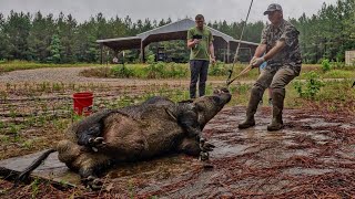 Trapping and hunting GIANT hogs with Kendall Gray [upl. by Meraree431]