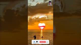 At The Citys Edge Watch Love Bloom In The Sunset ✨ fishing funny love [upl. by Yarehs]