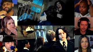 Snape Memories  quotDeathly Hallows Part  2 quot  Reaction Mashup  harrypotter [upl. by Rora]