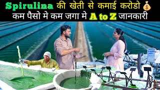 Spirulina की खेती कम जगा कम पैसे मे कमाओ करोडो Spirulina farming spirulina [upl. by Nayb]