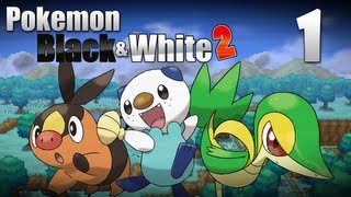 Pokémon Black amp White 2  How to Complete amp Beat Black Tower amp The Battle Against Benga [upl. by Radec425]