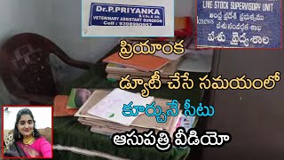 Doctor Priyanka Reddy Veterinary Hospital Inside Video  Priayanka Hospital Video Exclusive T2KNEWS [upl. by Rothwell544]