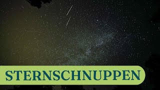 Sternschnuppen über Deutschland Wo sie am besten zu sehen sind [upl. by Sokem]