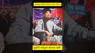 আল্লাহর অলীদের দরবারে গেলে নাজাত পাওয়া যায় waz video [upl. by Aiekram]