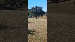 Disc Golf Opening Tee Hole  12 October 20 2024 [upl. by Sonitnatsnoc]