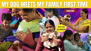 ✨Our Dog Meets Our Family For First Time✨ Mixed Reactions  Gowti Sowbi❤️❤️❤️ [upl. by Hayilaa289]