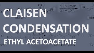 CLAISEN CONDENSATION ETHYL ACETOACETATE ncchem [upl. by Rudie17]