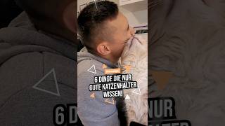 Diese 6 Dinge wissen nur gute Katzenhalter 😼 Gehörst du dazu katzenleben katze [upl. by Edrick769]