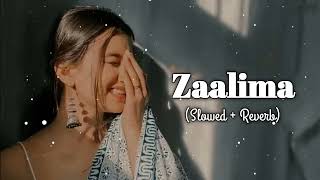 Zaalima SlowedReverb  Arijit Singh  Lofi Songs  lofimashup trendingmusic [upl. by Reivad]