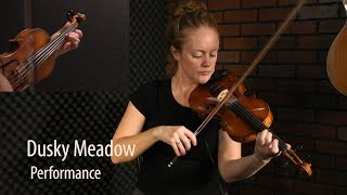 Dusky Meadow Strathspey  Scottish Fiddle Lesson by Hanneke Cassel [upl. by Flodnar]