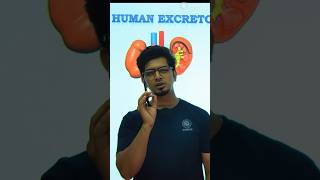 Excretory System in Humans  CBSE Class 10 Science Biology I Human Excretion science shorts [upl. by Funch]