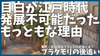 【前編】ブラタモリ「目白ブランドの正体とは？」を後追い【歴史】【坂】【タモリ】【神田川】【目白】【大名】【解説】 [upl. by Ahon156]