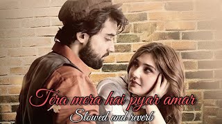 Tera mera hai pyar amar❤  Ishq Murshid  with lyrics  slowed and reverb [upl. by Madge]