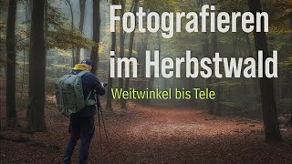 Fotografieren im Herbstwald Nebelbilder mit Weitwinkel und Teleobjektiv [upl. by Liuka]