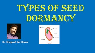 Types Of Seed Dormancy [upl. by Manwell]