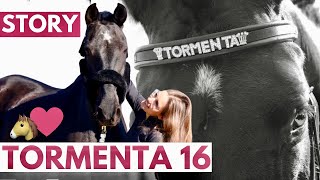 Vuelvo con la yegua de mi vida🐴 Tormenta ⚡️ [upl. by Ajuna]