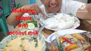 MukbangTilapia with coconut milk amp PipinoKA BITONG TV mukbang pinoy Philippines [upl. by Swords270]