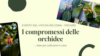 I 5 compromessi delle orchidee la guida per la cura delle orchidee  live da Bologna per Orchibò [upl. by Helsell649]