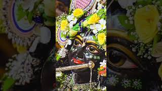 Premanda moharaja ji🙏🙏🙏Radhe krishna [upl. by Schott]