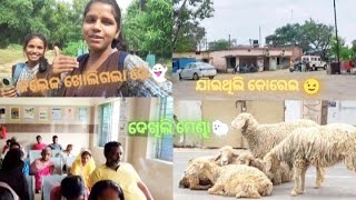 jaithili block✨🥴dekhili sheep🐑 queen592 new vlog 0dia subscribers [upl. by Portland]