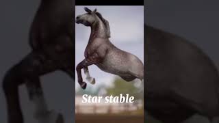 Star stable vs Real life horse starstable sso starstableonline reallife [upl. by Cloe]