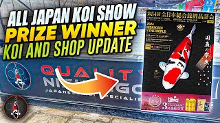 ALL JAPAN KOI SHOW 2024 SHOP UPDATES [upl. by Scevor390]