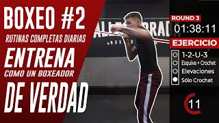 ENTRENA BOXEO en CASA 2 ▶︎ Ejercicios boxeo y DESPLAZAMIENTOS Entrenamiento COMPLETO Sin EQUIPO [upl. by Ayimat294]