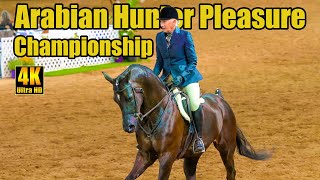 Arabian Horse Hunter Pleasure Championship [upl. by Frissell]