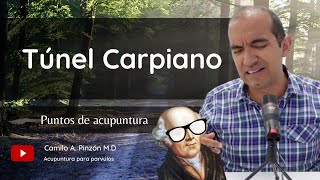 SINDROME DE TÚNEL CARPIANO puntos de acupuntura para su manejo  Acupuntura para párvulos [upl. by Ahsekar]