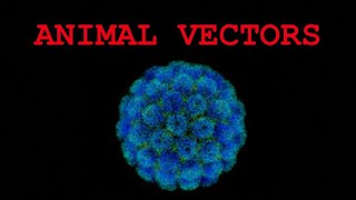 Animal Vectors  Notes for Biotechnology  Amitian Notes [upl. by Verge295]