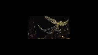 Christmas lights in slow motion christmas2024 christmaslights [upl. by Clarissa]