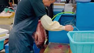 An Exclusive Tour of Toyosu Fish Market Japan [upl. by Herold]