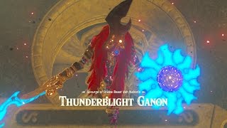 Zelda Breath of the Wild Vs Thunderblight Ganon  Cutscenes [upl. by Yelreveb435]