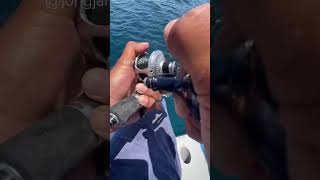 ubeyzulboatcharter Merah bagong jooong fishing fish bottomdrift [upl. by Lux620]