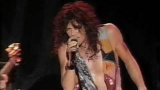 Aerosmith  Cryin Live in Chile 1994 [upl. by Hephzibah]