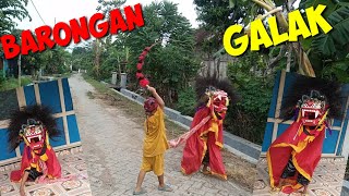 Main PELIHARA BARONGAN GALAK  SERUUU [upl. by Eicak]