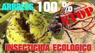 ELIMINAR HORMIGAS EN 1 DIA ECOLOGICAMENTE SIN PESTICIDAS DE ARBOLES  VIVIR EN EL CAMPO [upl. by Gannes]