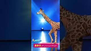 rap magic hiphop shorts human 🚶‍♀️transform into Giraffe🦒 Americas got talent giraffe 🦒🦒🦒 [upl. by Boiney]