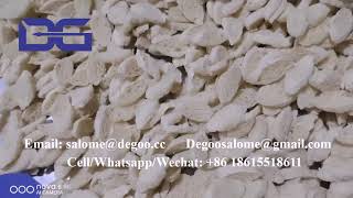 Crispy Bread Chips Extruder Machine Wheat Bran Small Mushroom Shape Bread Cubes Production Line [upl. by Aneehsal723]