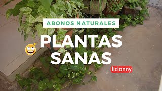 Cómo lograr PLANTAS SANAS con ABONOS NATURALES 4 FORMAS PARA CUIDAR nuestras plantas liclonny [upl. by Aneem]