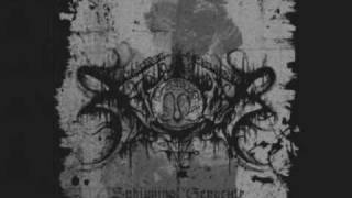 Xasthur  Arcane And Misanthropic Projection [upl. by Offen931]