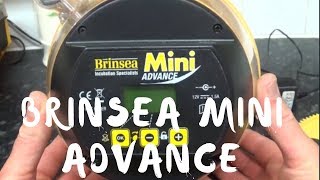 Brinsea Mini Advance Incubator Review and Usage [upl. by Dira]