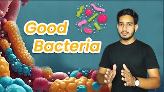 Not All Bacteria Are the Enemy Transform Your Health with Their Help [upl. by Henning]