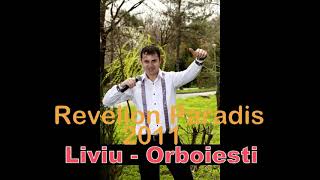 Manele vechi miscate revelion Paradis 2011Liviu de la Orboiesti live [upl. by Richard289]