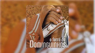 Dominguinhos feat Jorge de Altinho  quotNem Se Despediu de Mimquot O Forró do Dominguinhos2003 [upl. by Rehptsirhc615]