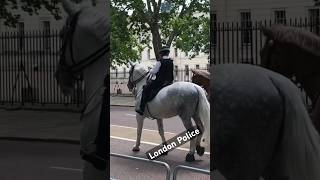 Royal Patrol London Policemen on Horseback near Buckingham Palace LondonPolice BuckinghamPalace [upl. by Magee439]