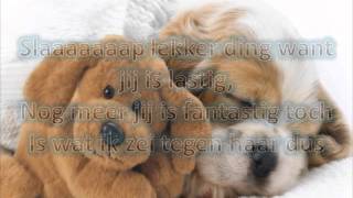 diggydex ft eva deroovere  slaap lekker fantastig toch  lyrics [upl. by Nolana583]