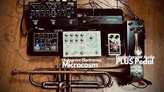 Trumpet Improvisation Hologram Electronics Microcosm amp Gamechanger Audio PLUS pedal [upl. by Aronal]