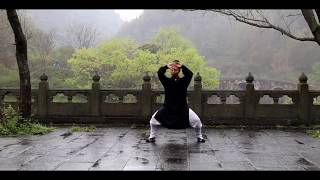 Authentic Wudang Tai Chi 28 [upl. by Ttereve583]